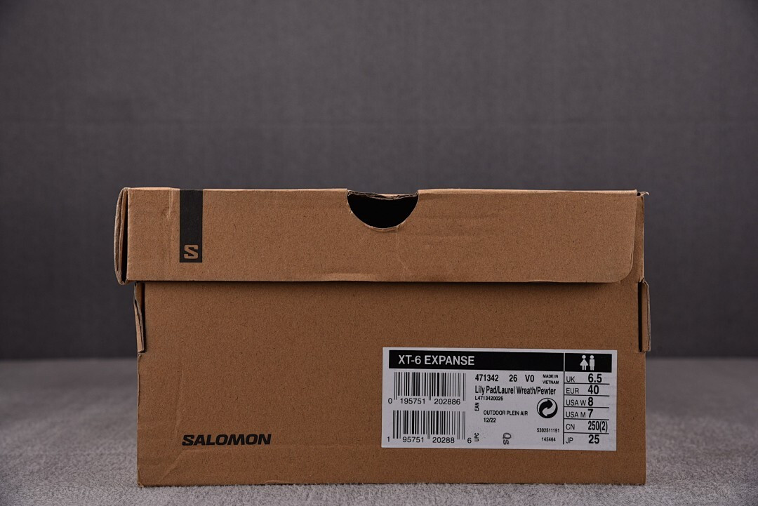 Salomon XT-6 