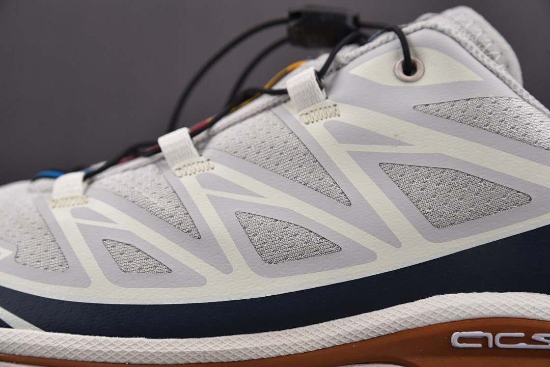 Salomon XT-6 