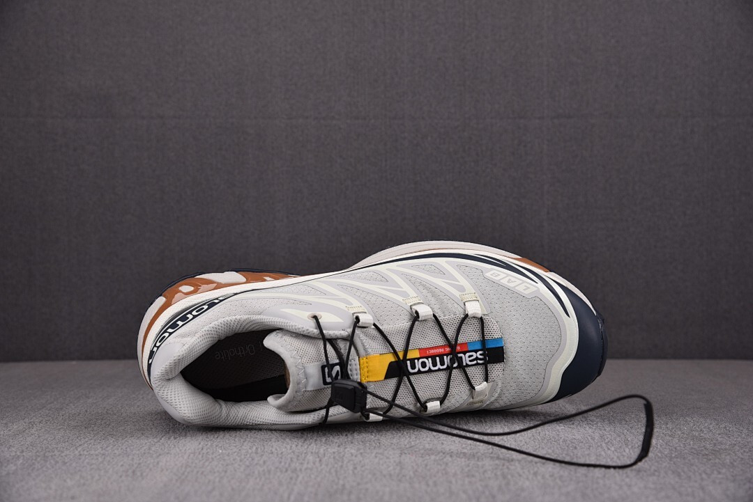 Salomon XT-6 