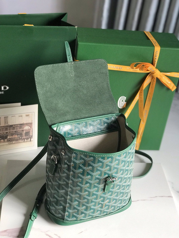 G09ard alpin shop mini backpack