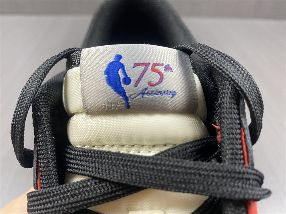 NBA X NIKE SB DUNK LOW EMB “CHICAGO” DD3363-100