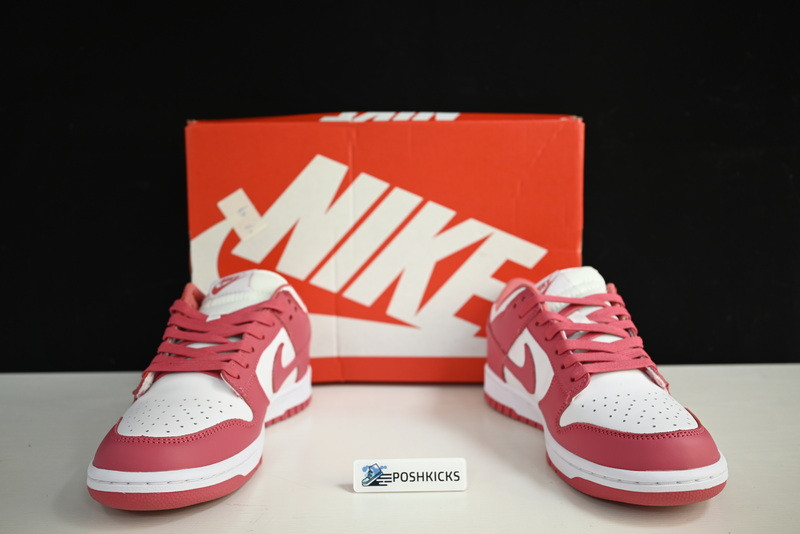 Nike Dunk Low Archeo Pink (W) DD1503-111