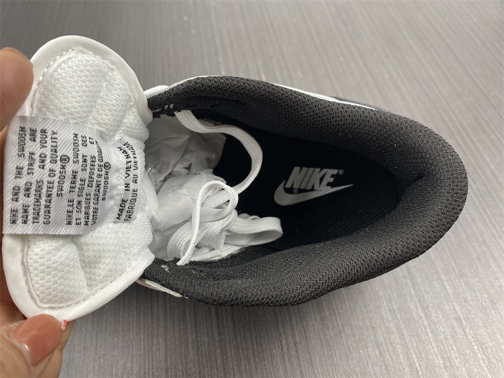 Nike SB Dunk Low DD1503-113