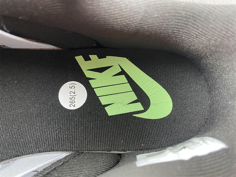 Nike Dunk Low Disrupt 2 Just Do It Snakeskin DV1490-161