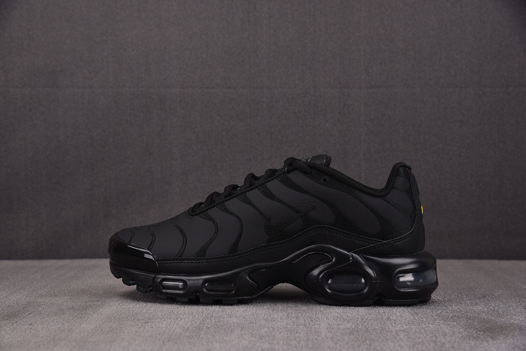 Nike Air Max Plus TN 'Triple Black' AJ2029-001