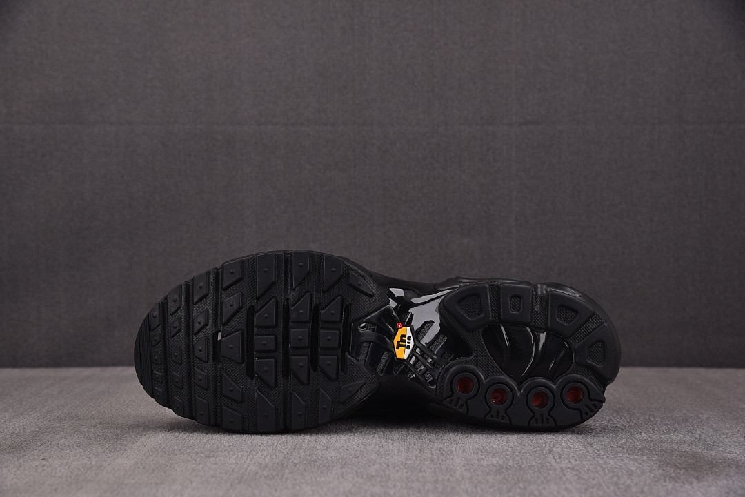 Nike Air Max Plus TN 