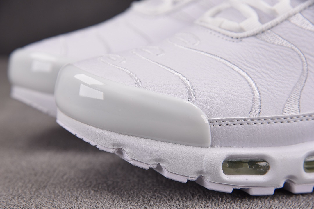 Nike Air Max Plus TN 