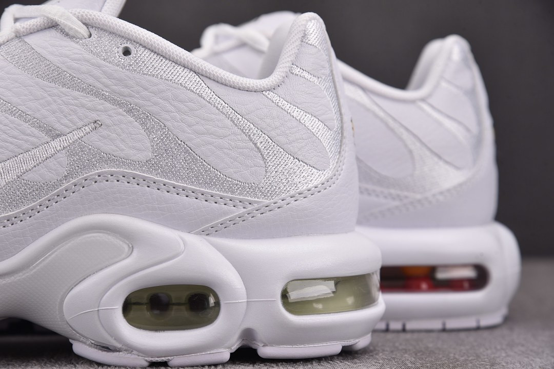 Nike Air Max Plus TN 