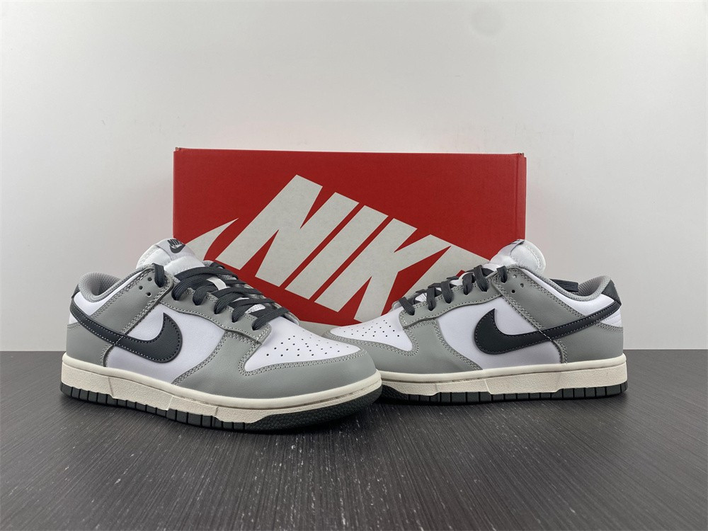 Nike Dunk Low Light Smoke Grey DD1503-117