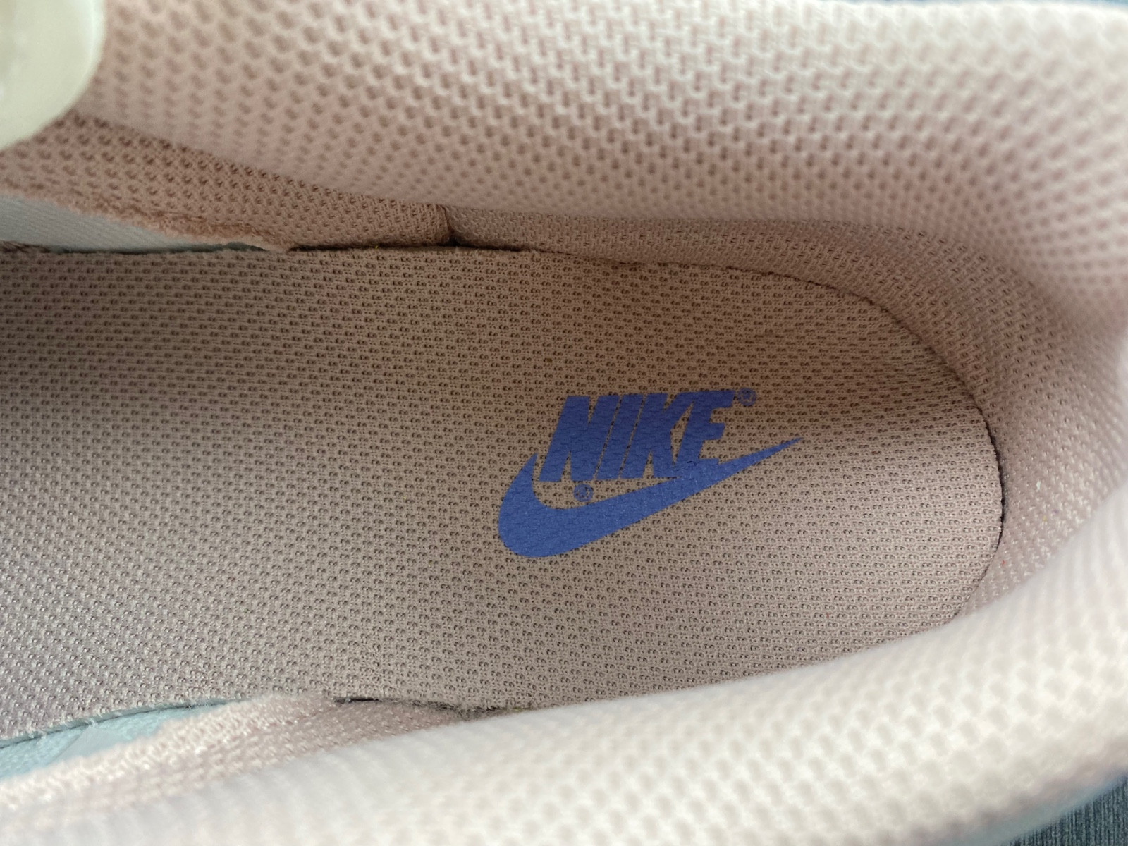 Nike Dunk Low Pink Oxford (W) DD1503-601