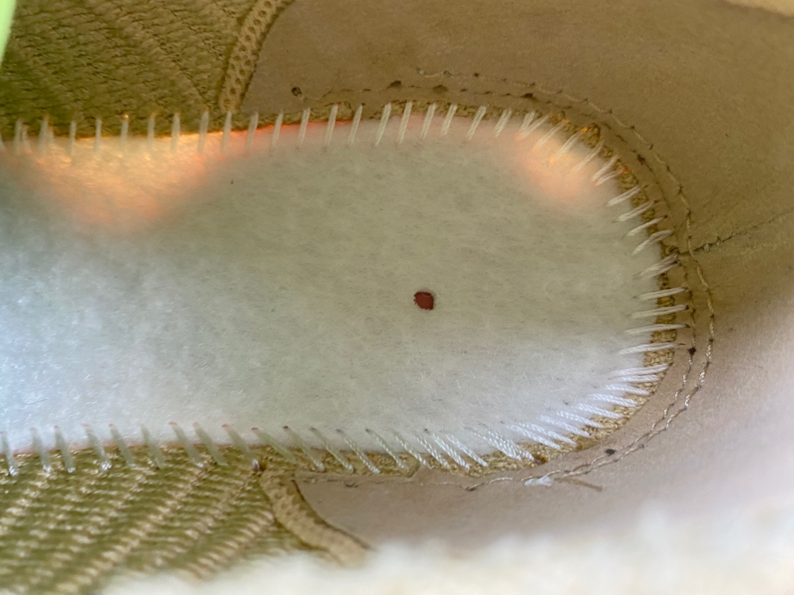 Nike Air Max Scorpion Wheat DJ4702-200