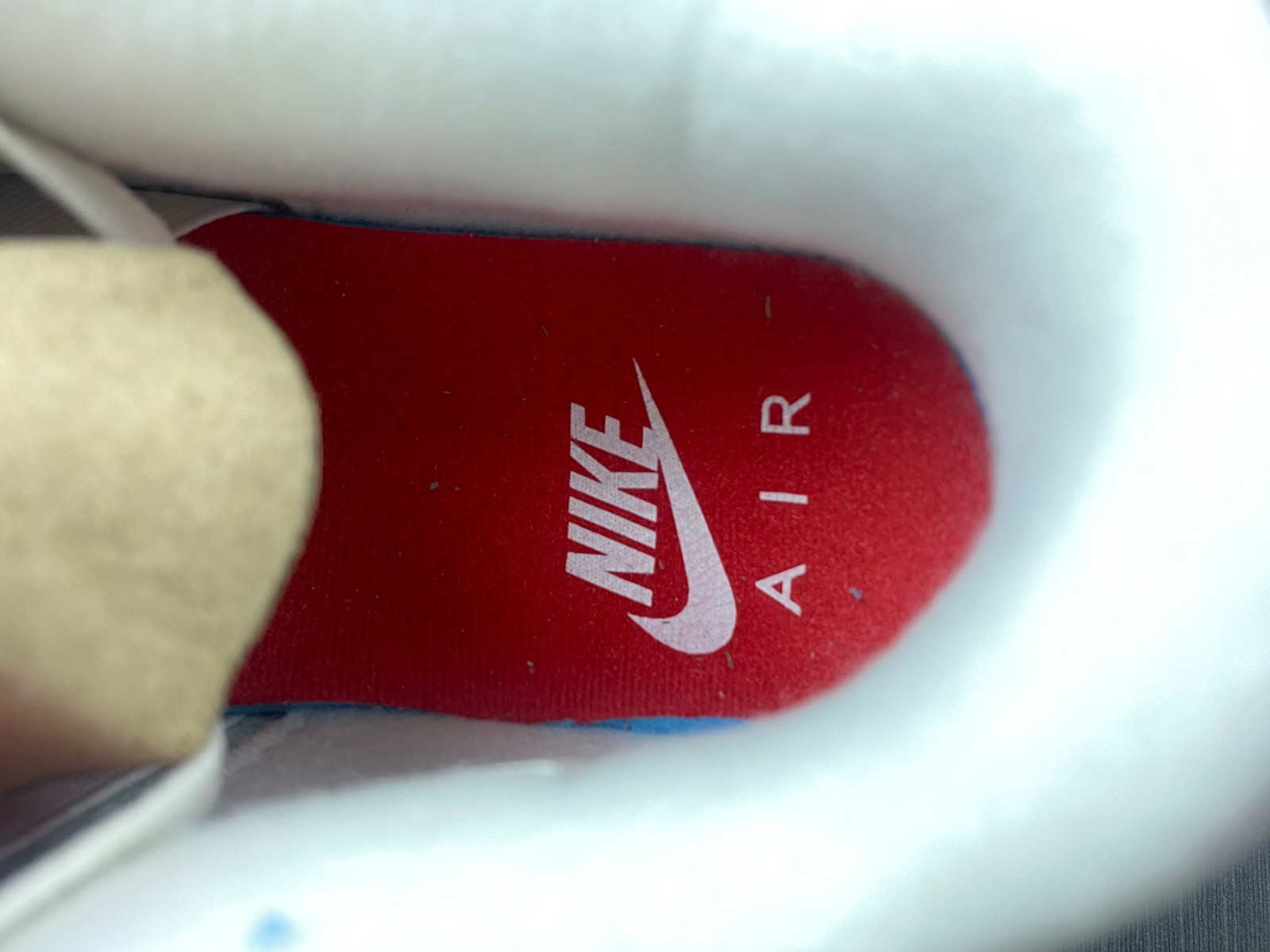 NIKE SB X AIR JORDAN 4 DR5415-106