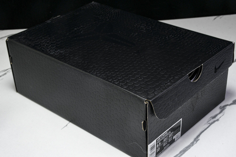 Nike Kobe 6 Protro "Dodgers" CW2190-400