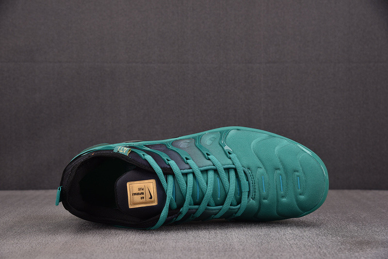 Nike Air VaporMax Plus City Special / ATL DH0145-300