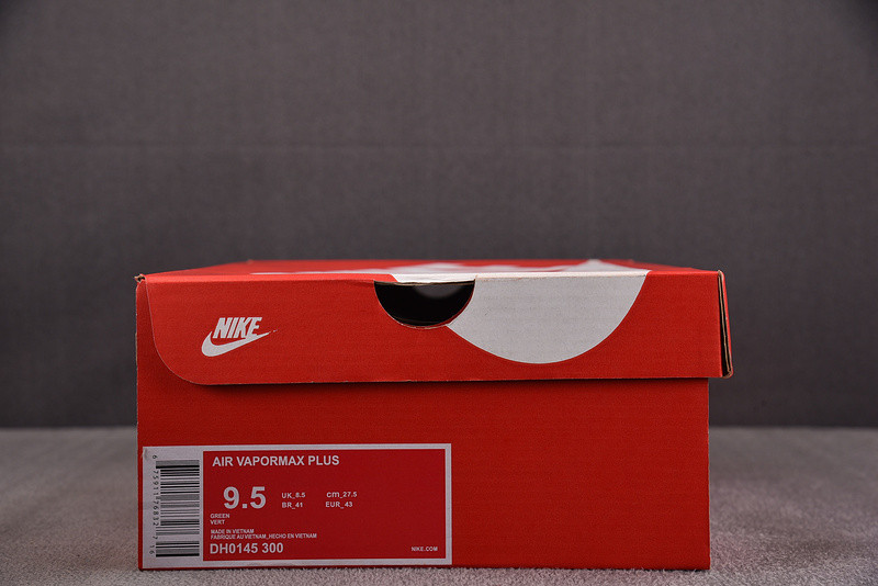 Nike Air VaporMax Plus City Special / ATL DH0145-300