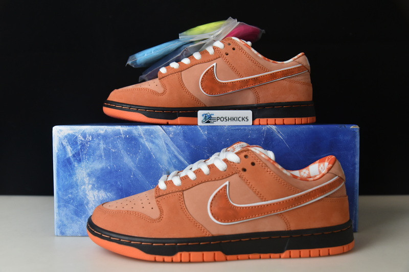 NIKE SB DUNK LOW ORANGE LOBSTER SKATEBOARD FD8776-800