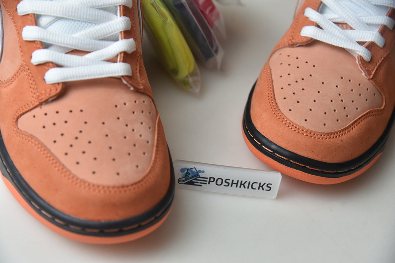 NIKE SB DUNK LOW ORANGE LOBSTER SKATEBOARD FD8776-800