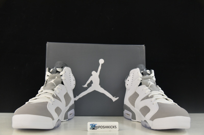 Air Jordan 6 “Cool Grey” CT8529-100