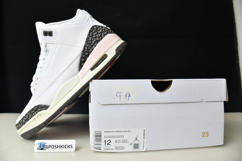 Jordan 3 Retro Neapolitan Dark Mocha (W) CK9246-102