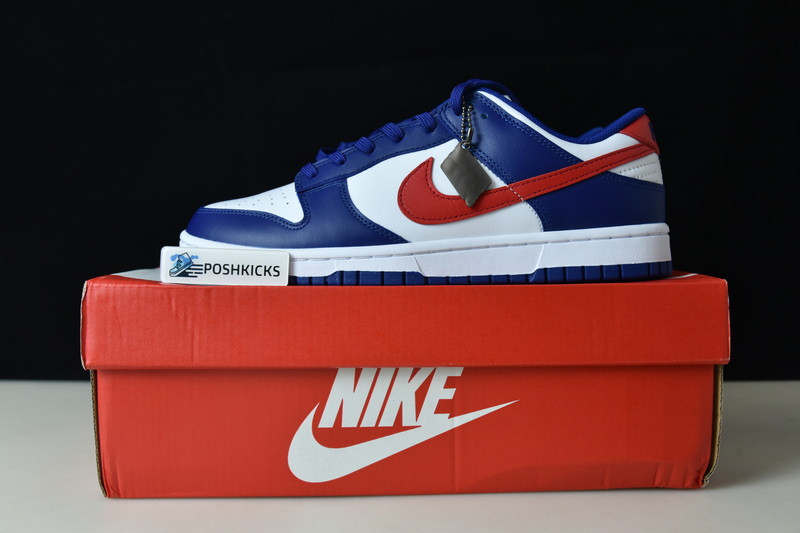 Nike Dunk Low USA (W) DD1503-119