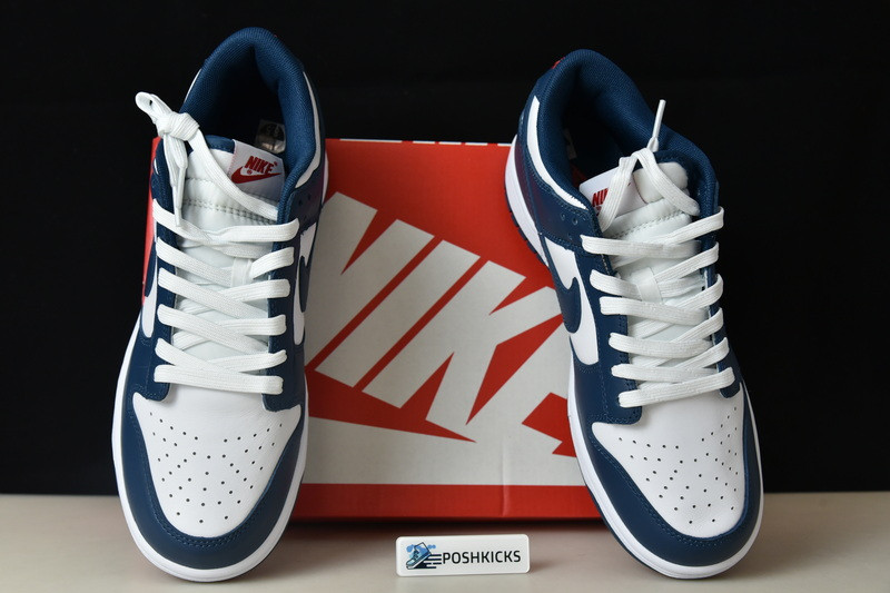 Nike dunk SB Low Retro Valerian Blue DD1391-400