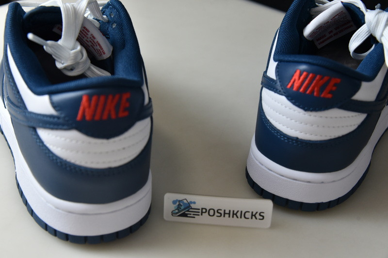 Nike dunk SB Low Retro Valerian Blue DD1391-400