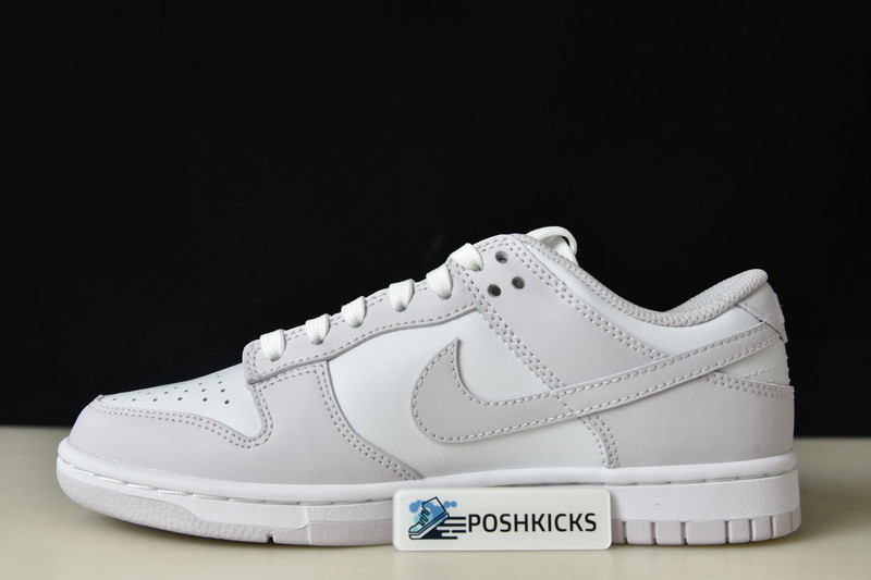 Nike Dunk Low Venice (W) DD1503-116