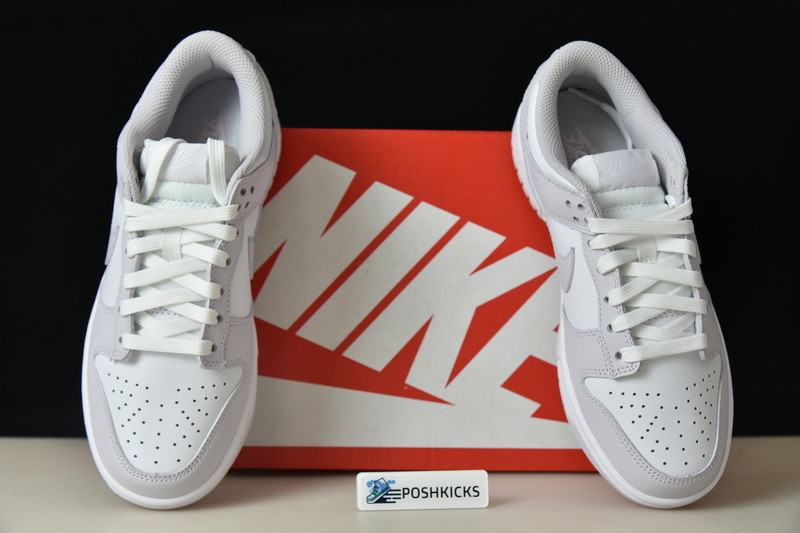 Nike Dunk Low Venice (W) DD1503-116