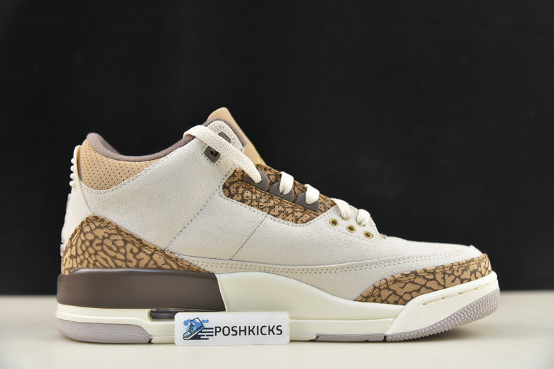 Air Jordan 3 Palomino CT8532-102