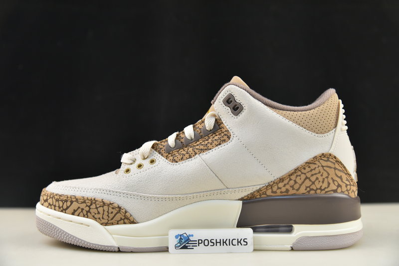 Air Jordan 3 Palomino CT8532-102