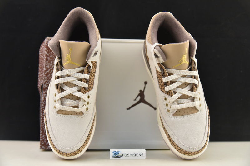 Air Jordan 3 Palomino CT8532-102