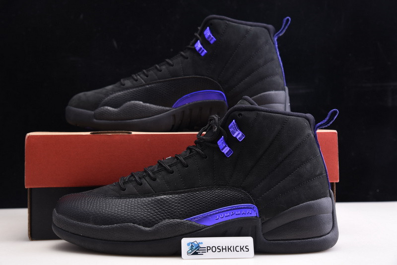 Air Jordan 12 “Dark Concord” CT8013-005