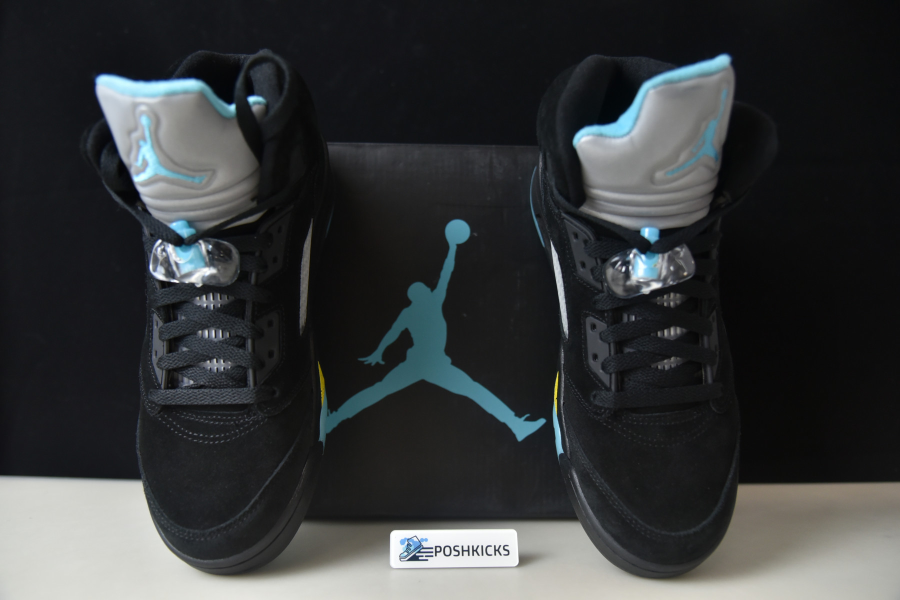 AIR JORDAN 5 "AQUA" DD0587-047
