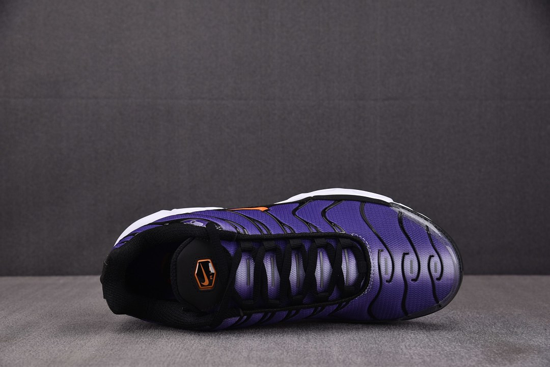 Nike Air Max Plus OG "Voltage Purple" DX0755-500
