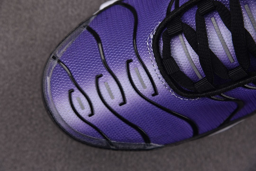 Nike Air Max Plus OG "Voltage Purple" DX0755-500