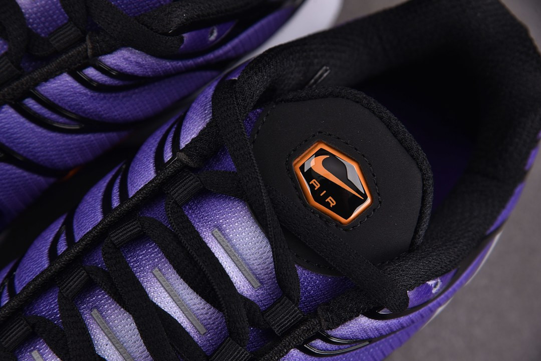 Nike Air Max Plus OG "Voltage Purple" DX0755-500