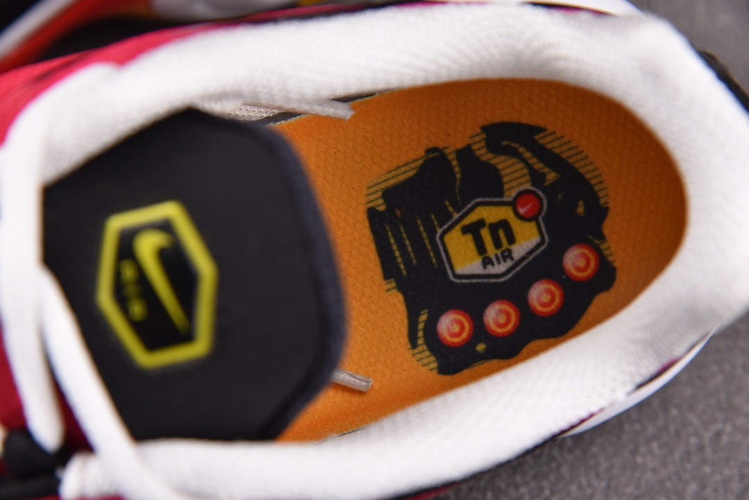 Nike Air Max Plus OG DX0755-600