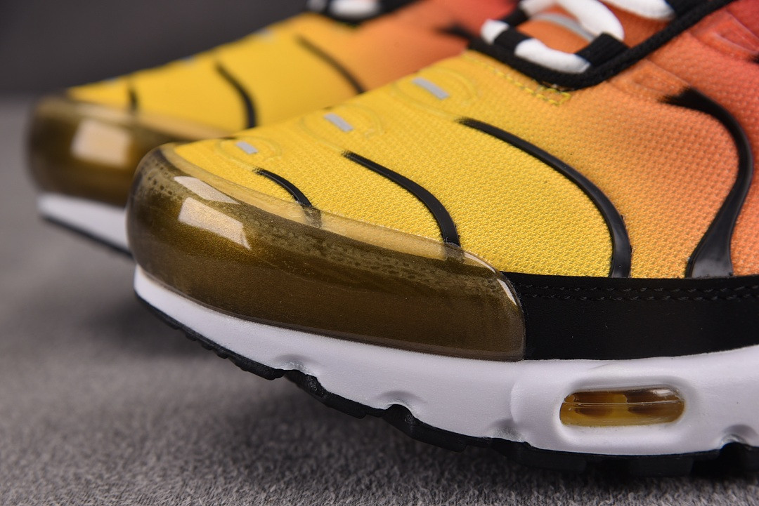 Nike Air Max Plus OG DX0755-600