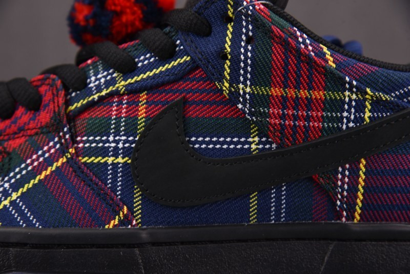 Nardwuar Nike SB Dunk Low II1493-600