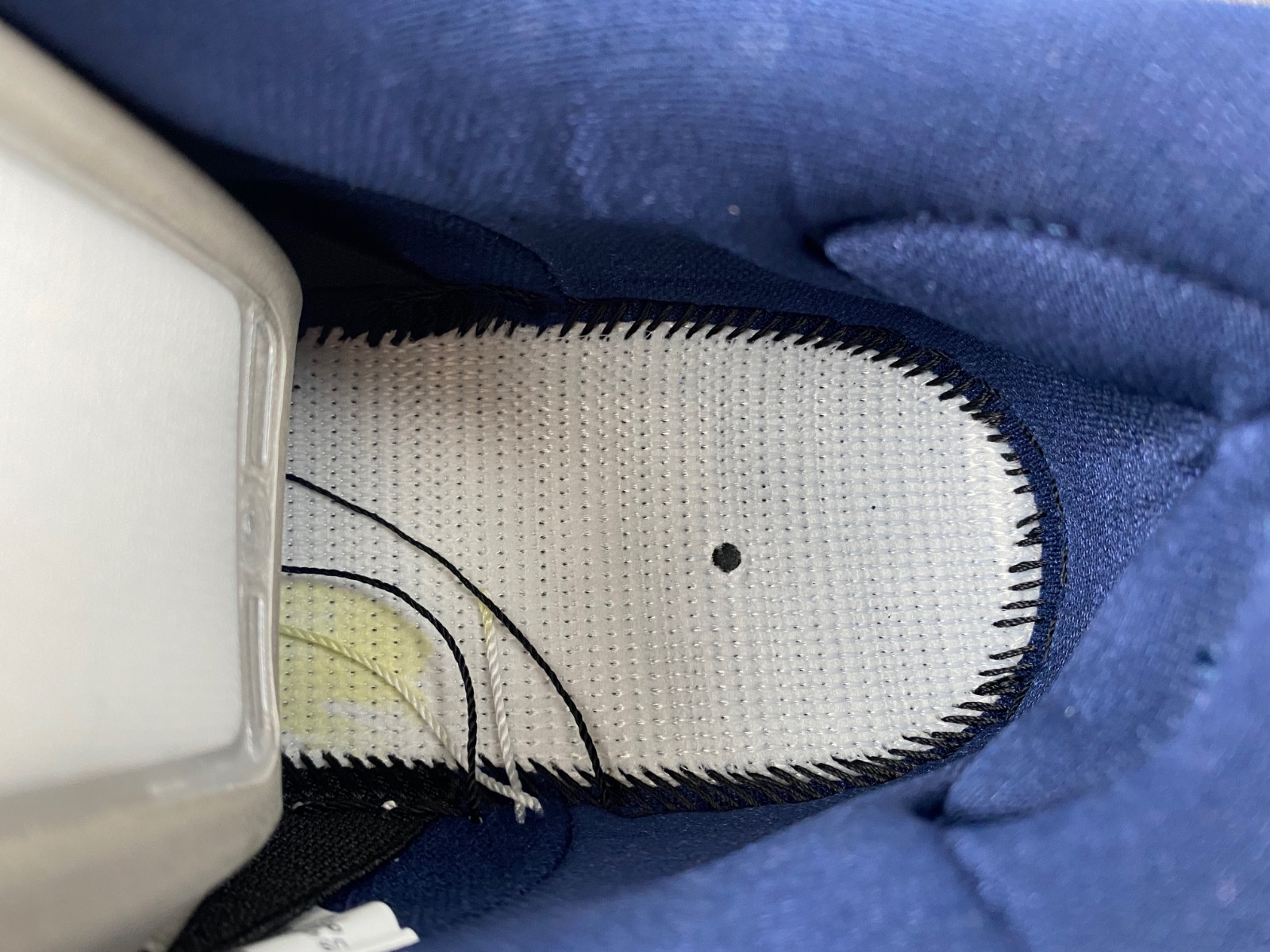 Nike SB Dunk Low Pro ISO 