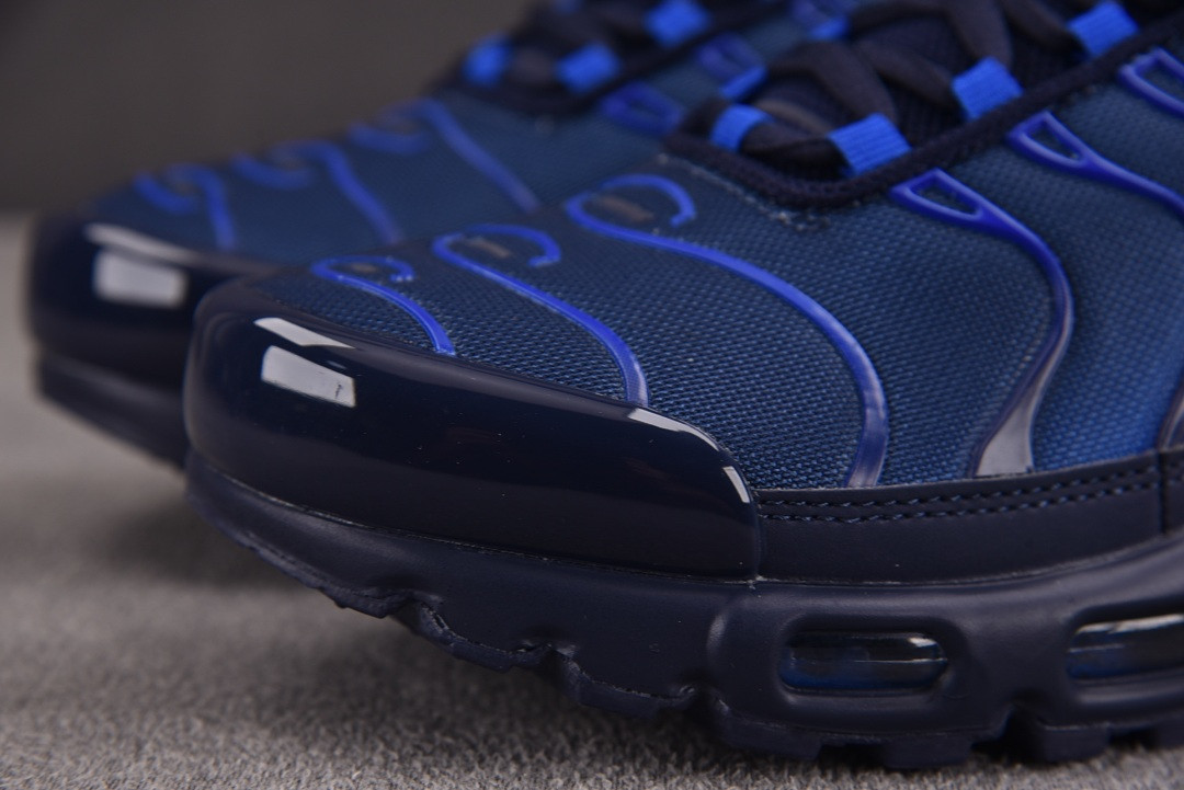 Nike Air Max Plus "French Football Federation" IQ0170-400