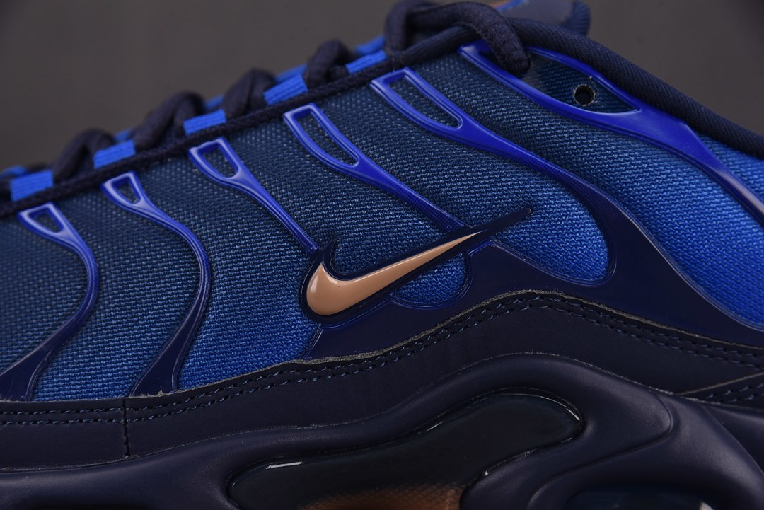Nike Air Max Plus "French Football Federation" IQ0170-400