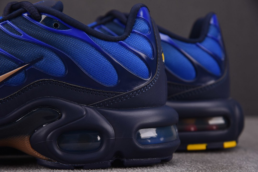 Nike Air Max Plus "French Football Federation" IQ0170-400