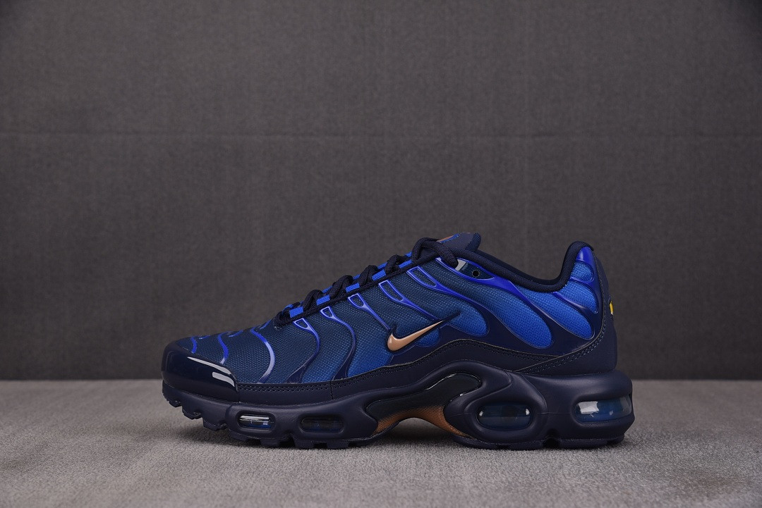 Nike Air Max Plus "French Football Federation" IQ0170-400
