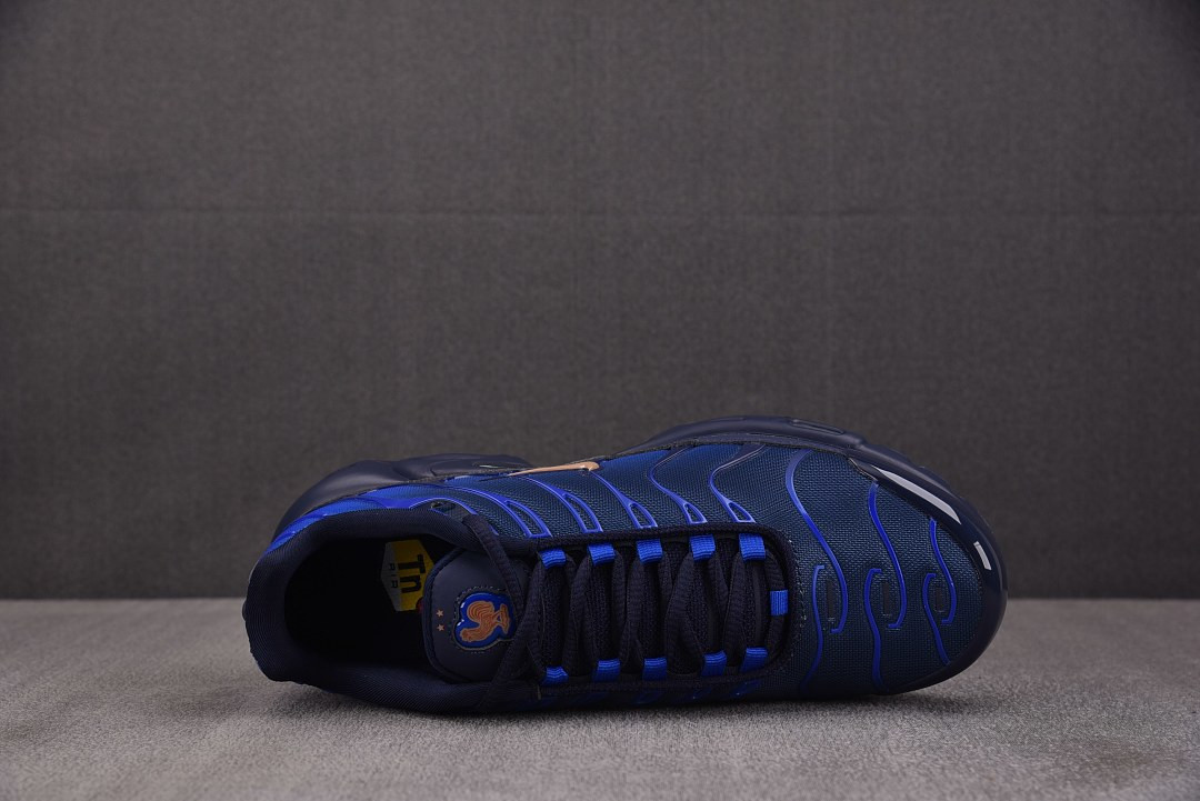 Nike Air Max Plus "French Football Federation" IQ0170-400