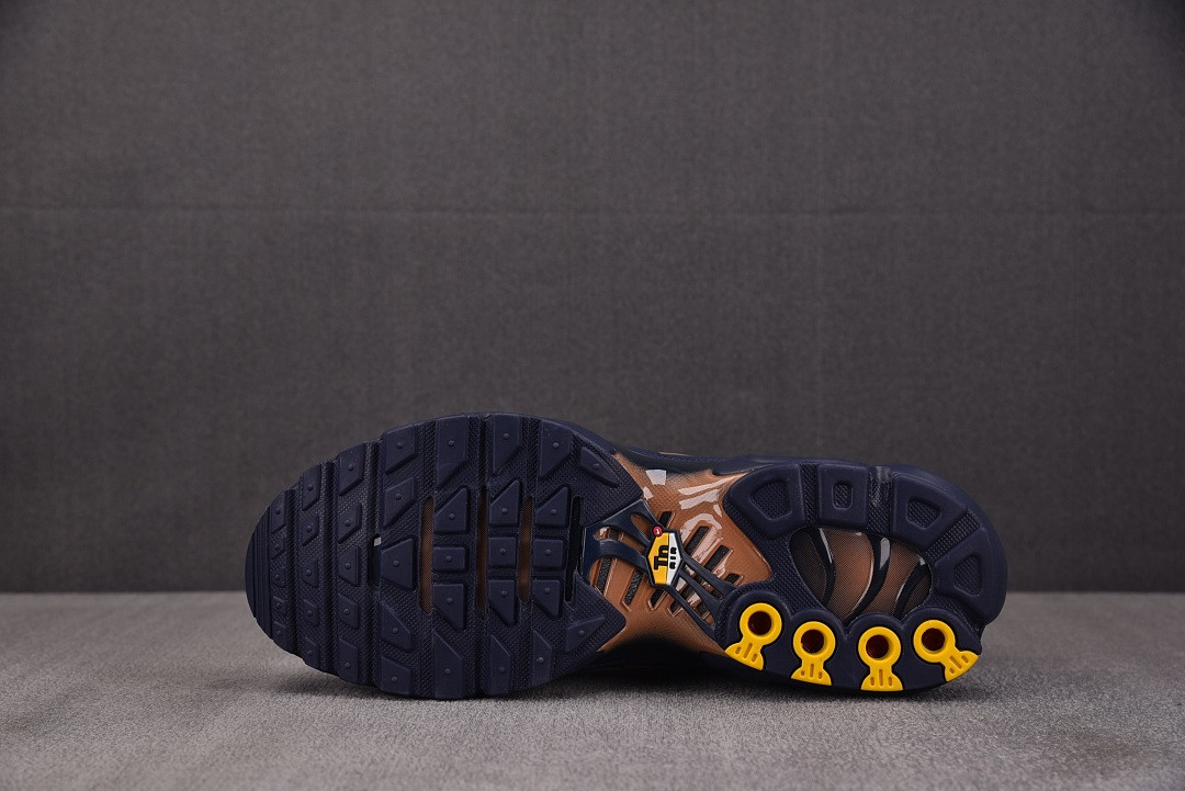 Nike Air Max Plus "French Football Federation" IQ0170-400