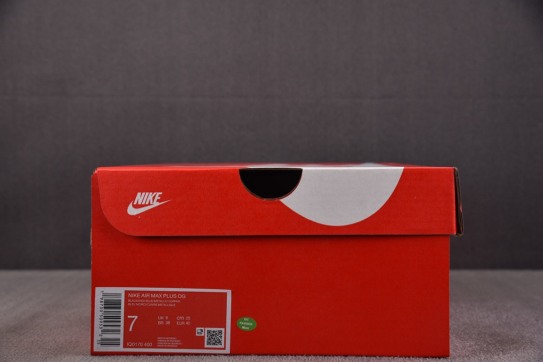 Nike Air Max Plus "French Football Federation" IQ0170-400