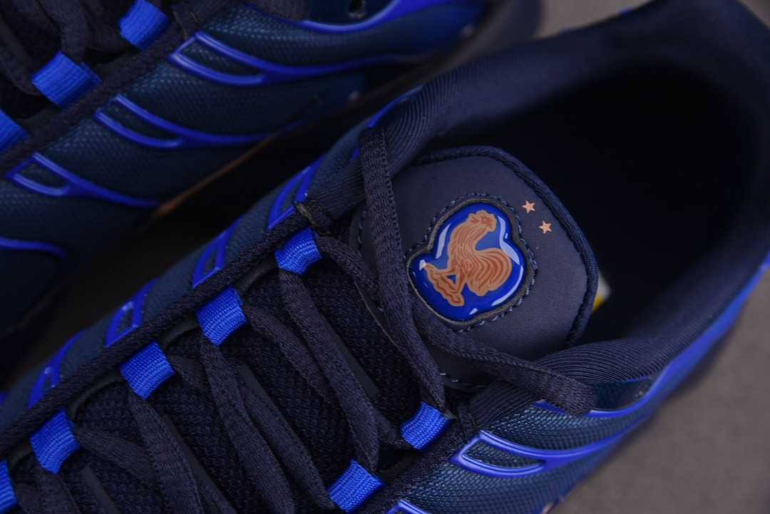 Nike Air Max Plus "French Football Federation" IQ0170-400