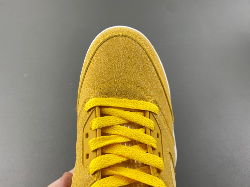 Jordan Air Jordan 5 Retro