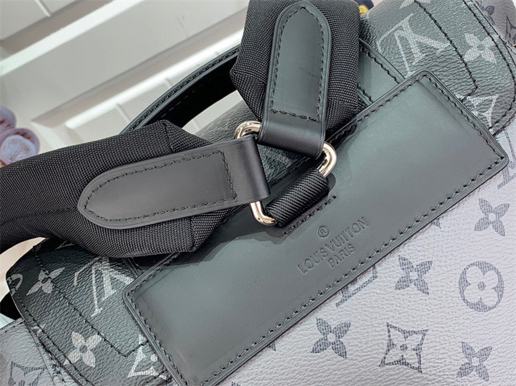 L*uis V*itton Backpack